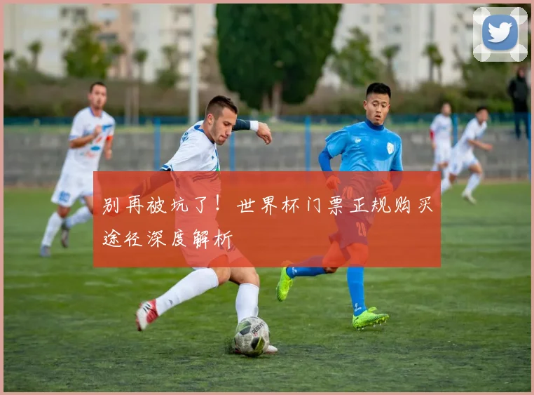 别再被坑了！世界杯门票正规购买途径深度解析