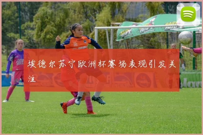 埃德尔苏宁欧洲杯赛场表现引发关注